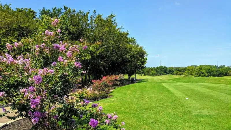 Firewheel Golf Park Bridges Course